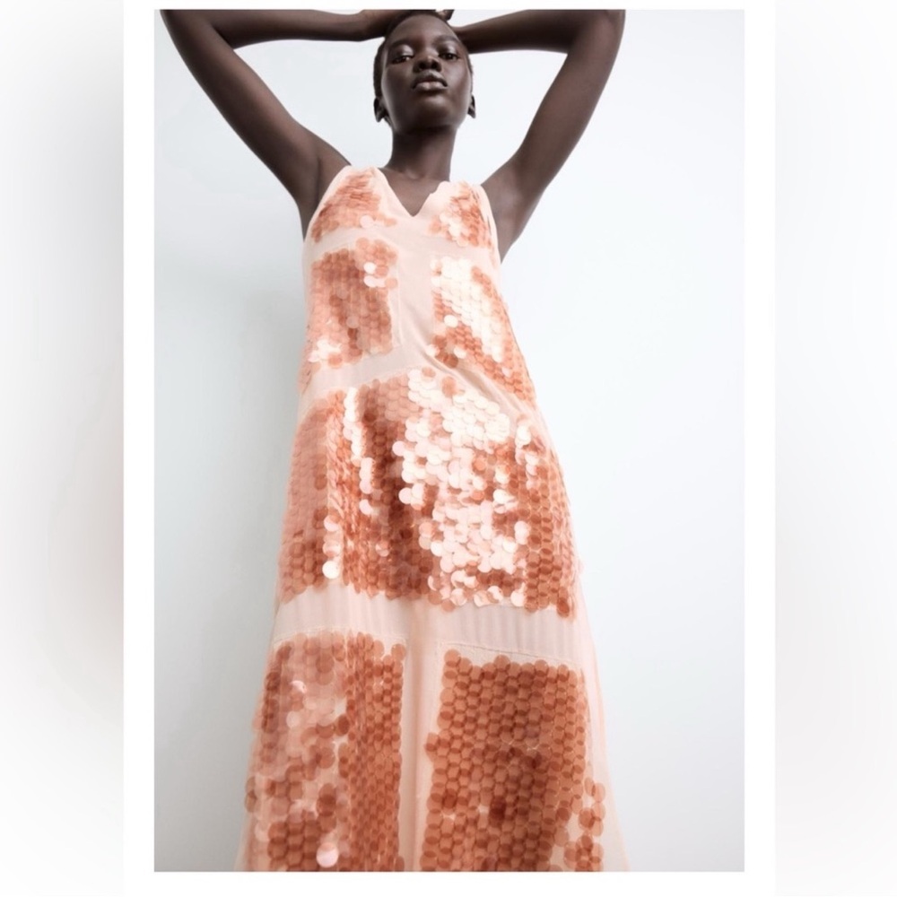 ZARA SEQUIN GEORGETTE DRESS NWT